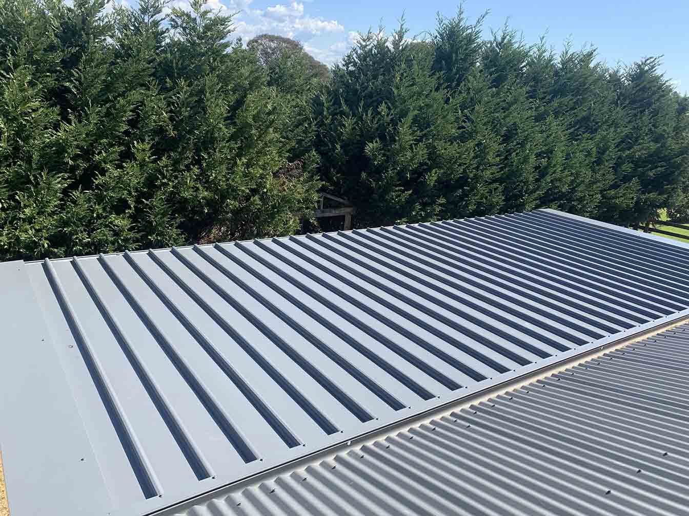 Light grey ribbed metal roof beside a row of tall hedges